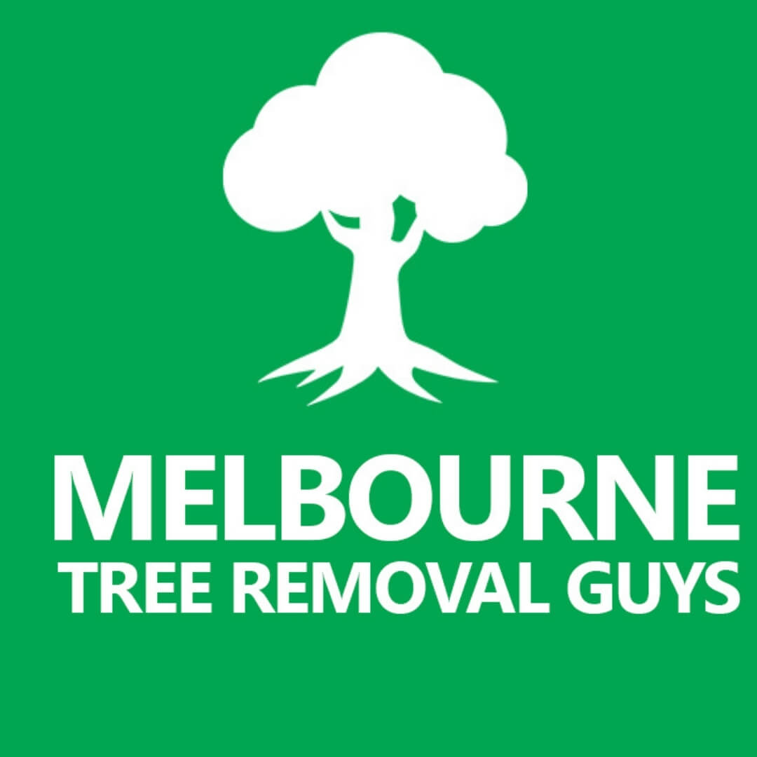 melbournetreeremovalguys@gmail.c